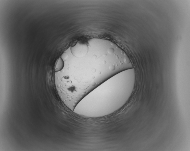 X0000114551059200910190947