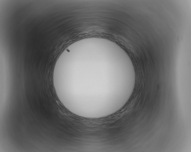 X0000114551060200910190947