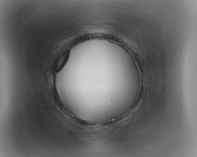 X0000114551061200910190947