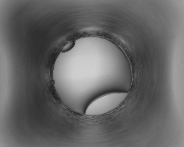 X0000114551062200910190947