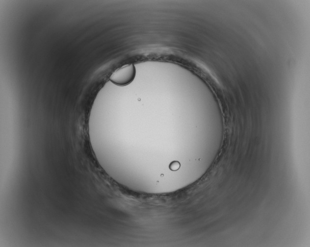 X0000114551063200910190947