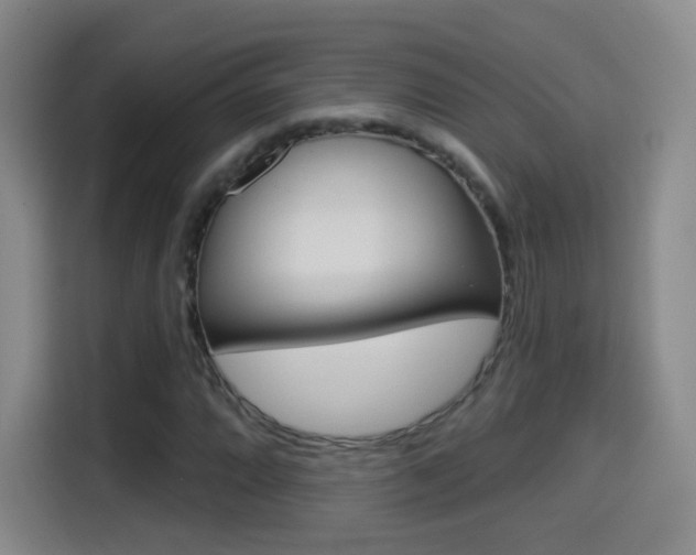 X0000114551064200910190947