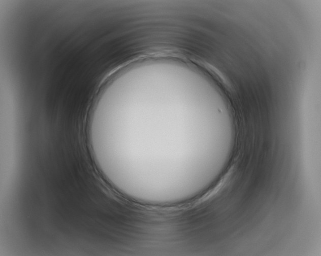 X0000114551065200910190947