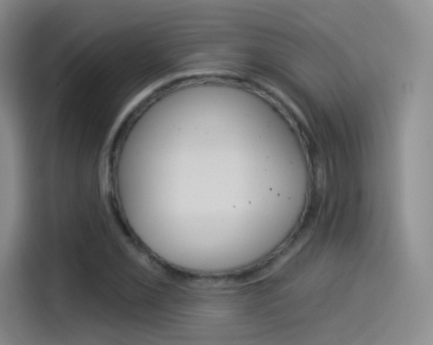 X0000114551069200910190947