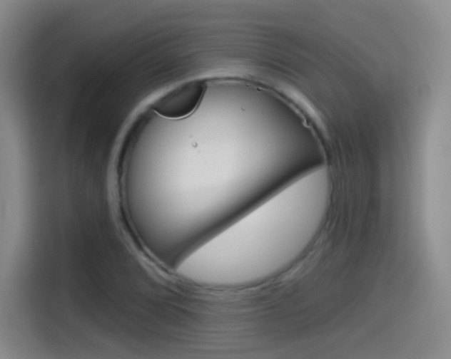 X0000114551072200910190947