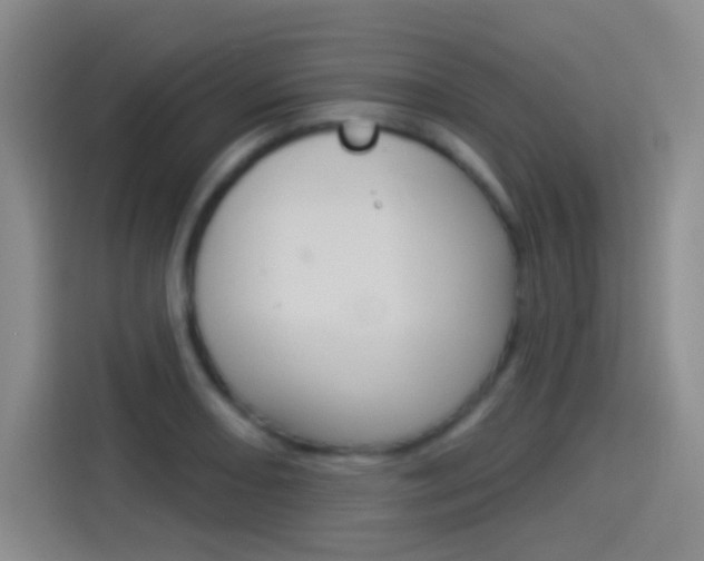 X0000114551082200910190946