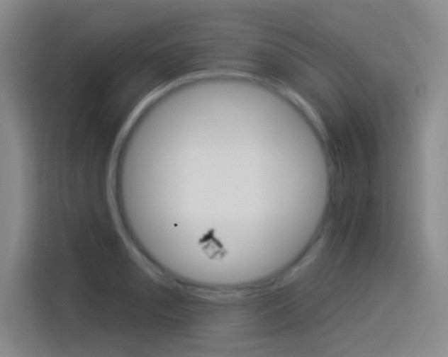 X0000114551085200910190946