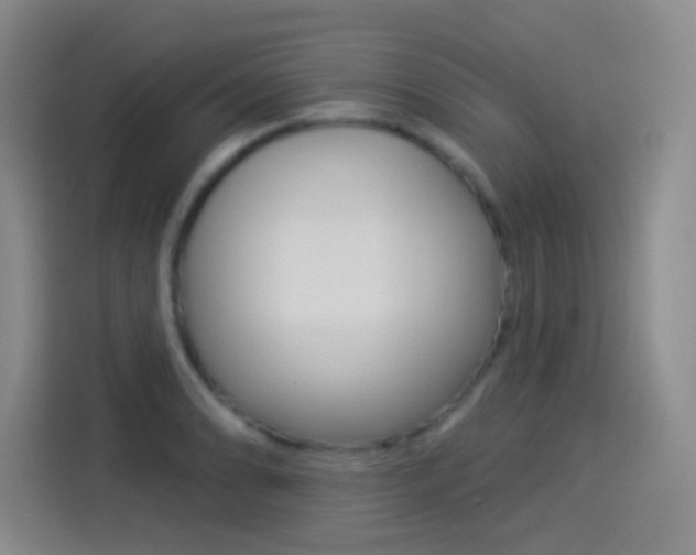 X0000114551086200910190946