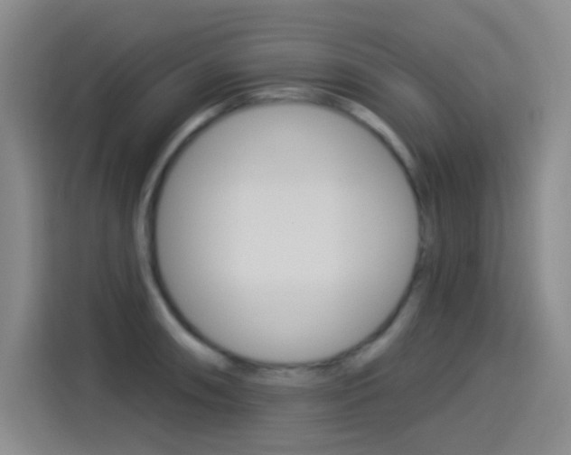 X0000114551090200910190946
