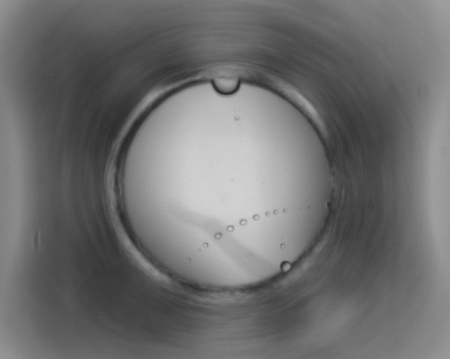 X0000114551091200910190946