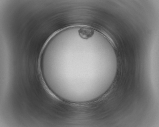 X0000114551092200910190946