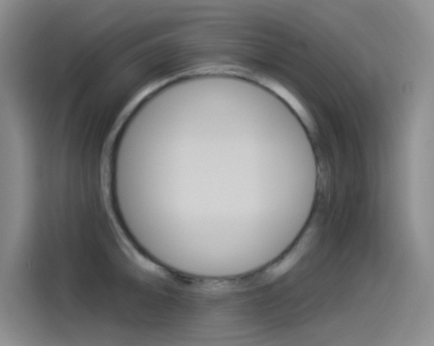 X0000114551094200910190946