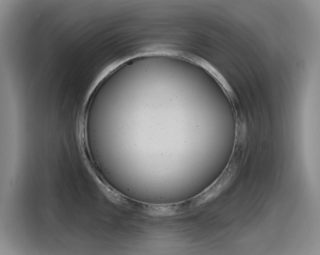 X0000114551101200910190946