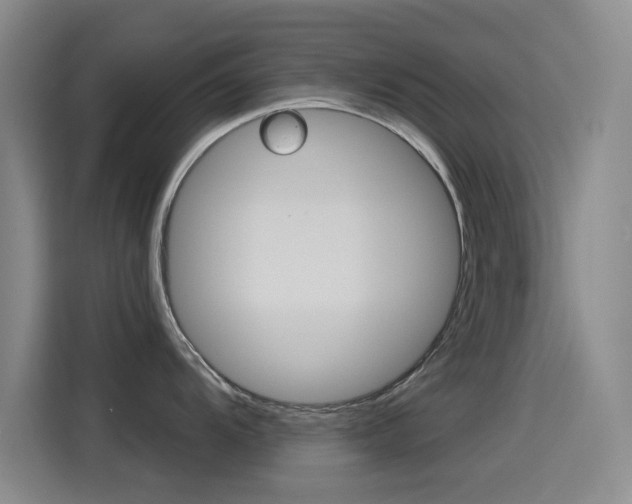 X0000114551104200910190946
