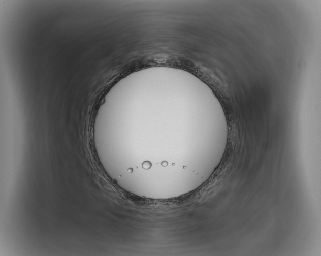 X0000114551105200910190945