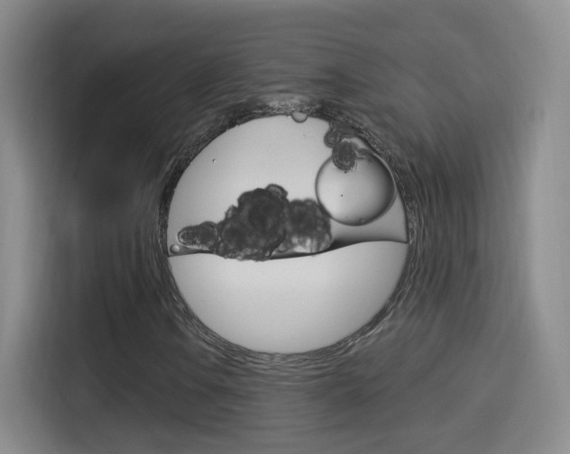 X0000114551106200910190945
