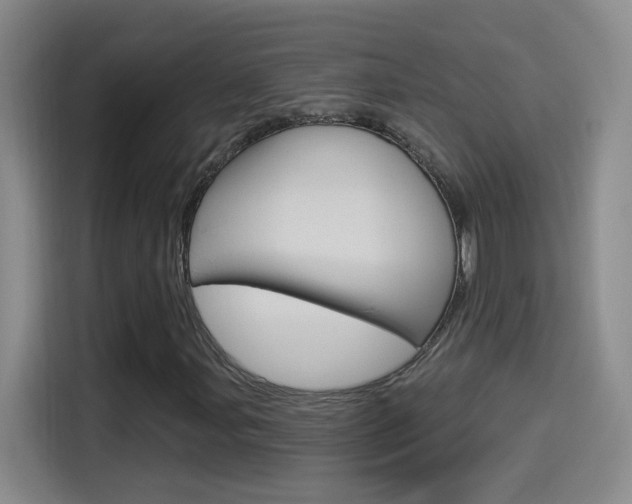 X0000114551107200910190945