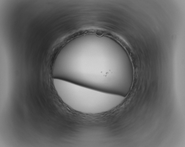 X0000114551111200910190946