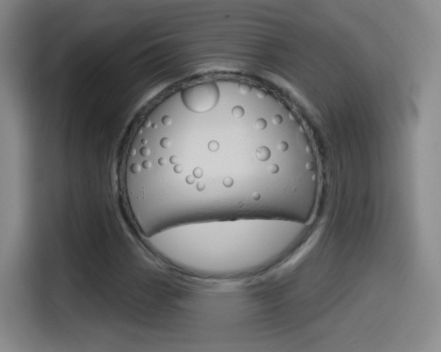 X0000114551113200910190946