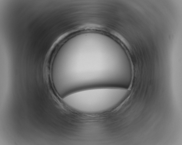 X0000114551115200910190946