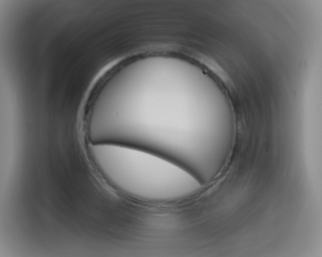 X0000114551119200910190946