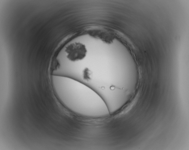 X0000114551121200910190946