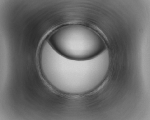 X0000114551122200910190946