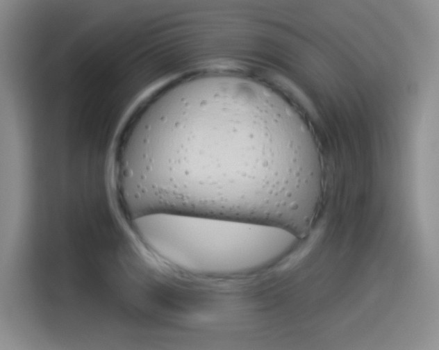 X0000114551125200910190946