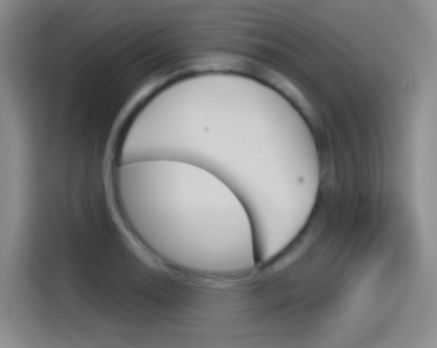 X0000114551130200910190946