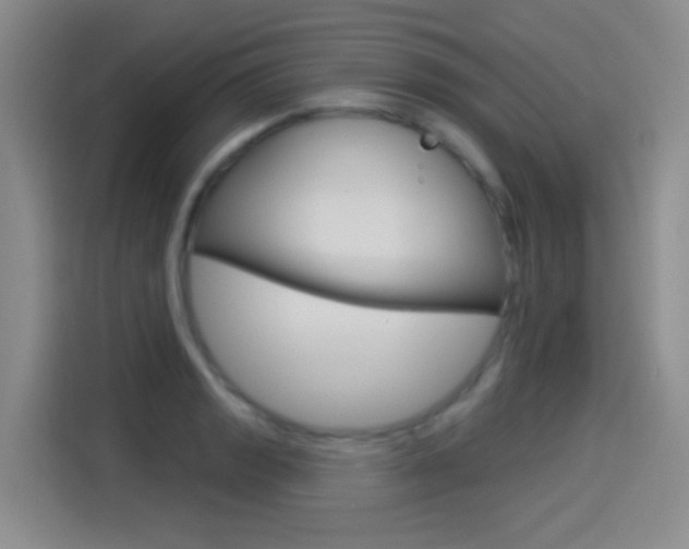 X0000114551133200910190946