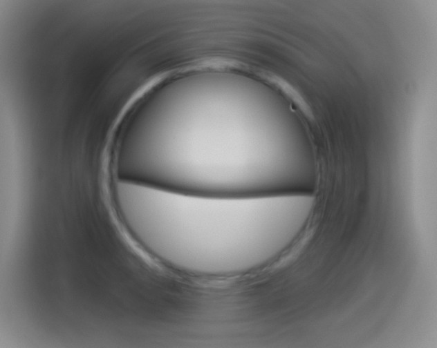 X0000114551134200910190946
