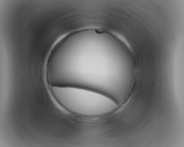 X0000114551135200910190946