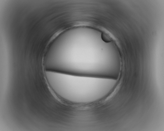 X0000114551137200910190946