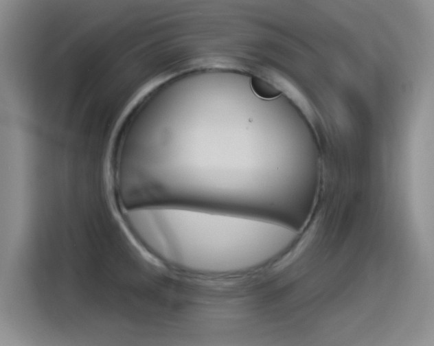X0000114551141200910190946