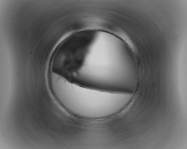 X0000114551142200910190946