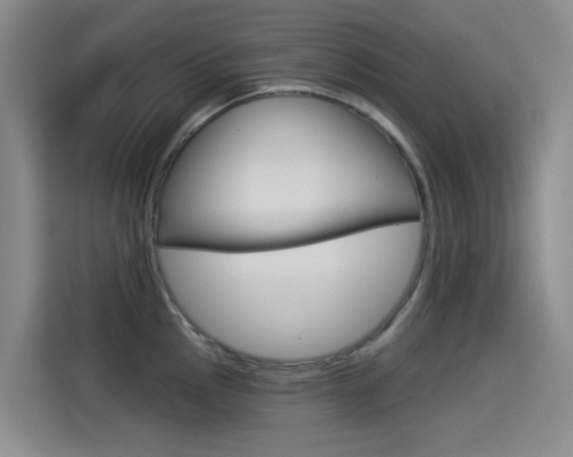 X0000114551145200910190946