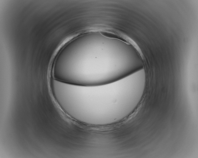 X0000114551146200910190946