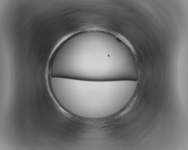 X0000114551149200910190946