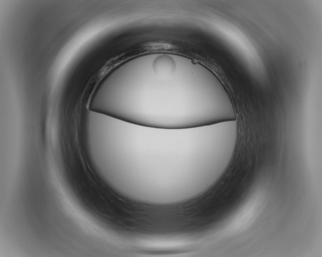 X0000114551151200910190946