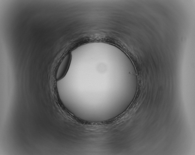 X0000114551153200910190945
