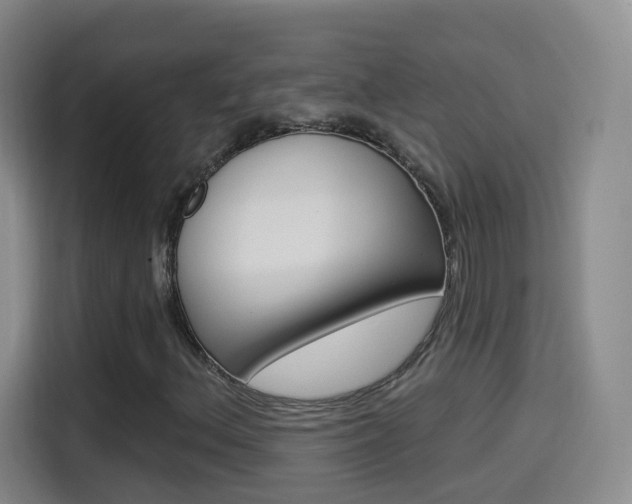 X0000114551156200910190945