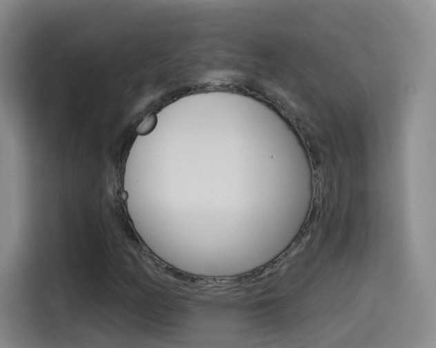 X0000114551158200910190945