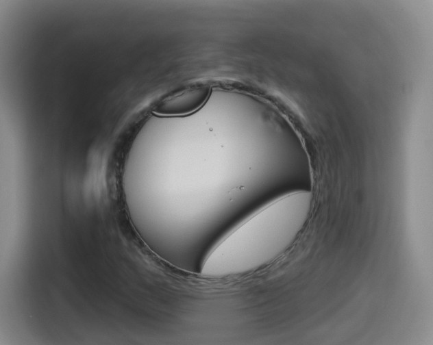 X0000114551159200910190945
