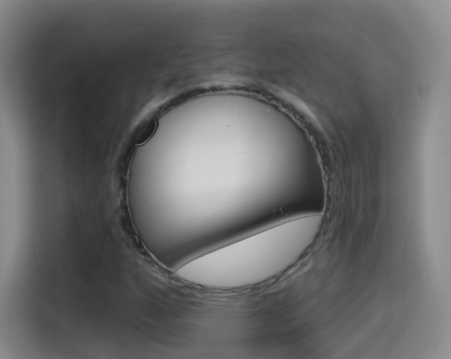 X0000114551160200910190945