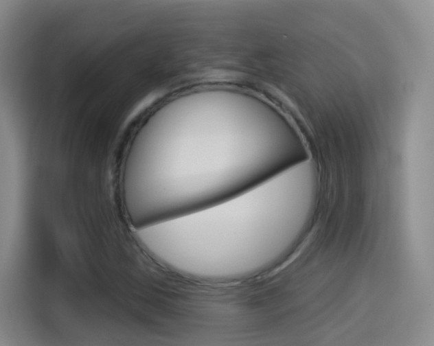 X0000114551163200910190945