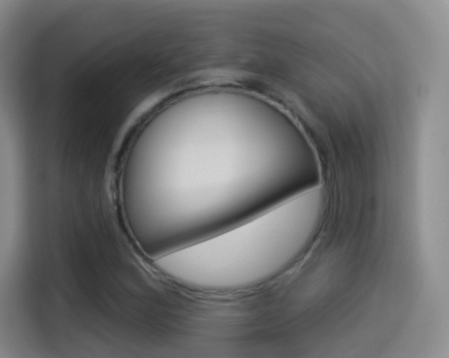 X0000114551164200910190945