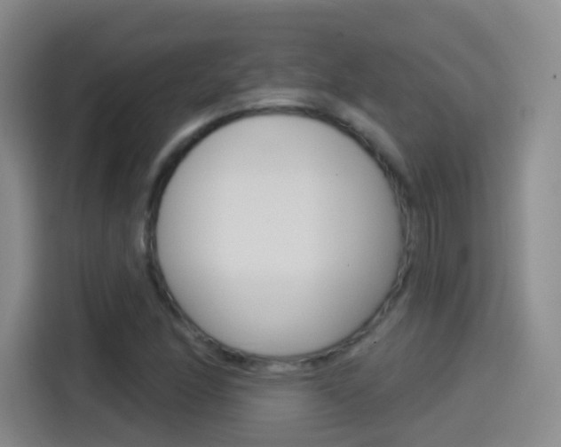X0000114551166200910190945