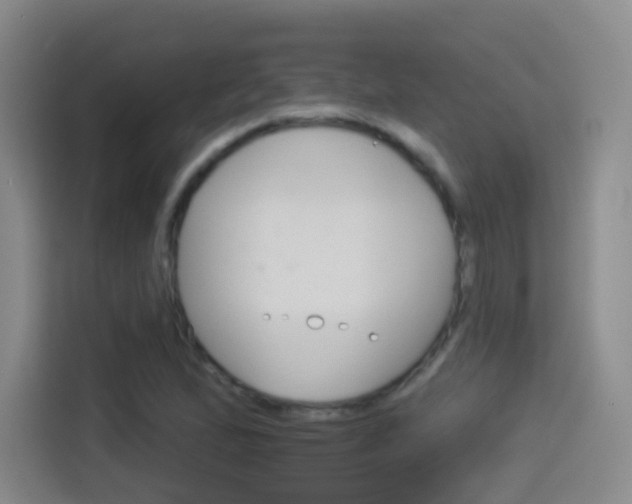 X0000114551167200910190945