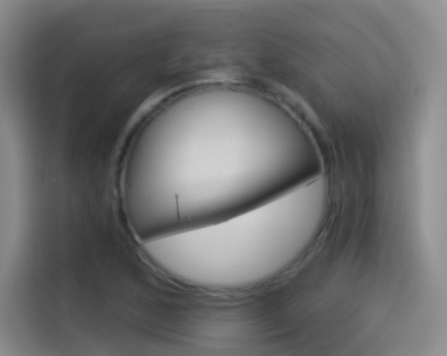 X0000114551168200910190945
