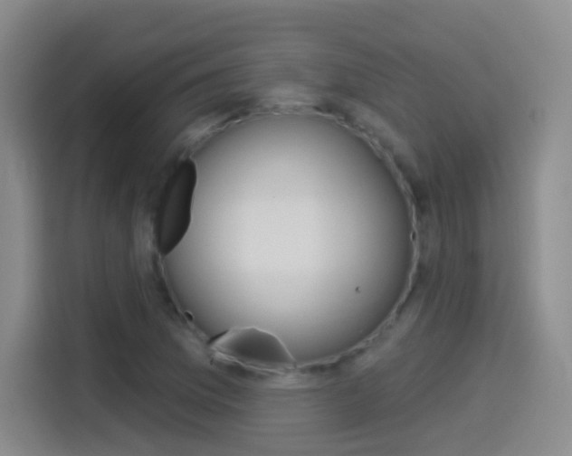 X0000114551169200910190945